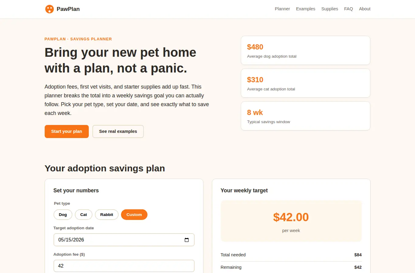 Screenshot of Pet Adoption Fee Financing Planner interface showing the project page in use